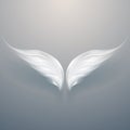Abstract white light wings with shadow Royalty Free Stock Photo