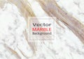 Abstract white marble texture, Vector pattern background