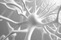 Abstract white neurons pattern, white theme, solid white background. Big data, cryptography programming. Neural network, cloud