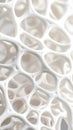 Abstract white organic structure with interconnected circular shapes and intricate patterns Royalty Free Stock Photo
