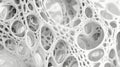 Abstract white organic structure, intricate network of interconnected forms