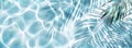 abstract white palm tree leaf shadow on light blue water background Royalty Free Stock Photo