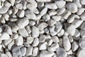 a bunch of white rocks are piled together on the ground