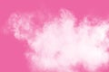 Abstract white powder explosion on pink background. Freeze motion of white dust splattered Royalty Free Stock Photo