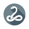 Abstract white serpent logo vector illustration on gray circle. Flat shadow symbol of a snake Royalty Free Stock Photo