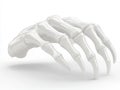 Abstract white skeletal hand in futuristic pose representing anatomy 3D modeling intersection of art science in clean digital