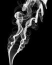 Abstract white smoke shape and curves on black Royalty Free Stock Photo