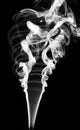 Abstract white smoke swirls on black Royalty Free Stock Photo