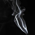 Abstract white smoke swirls pattern over the black background Royalty Free Stock Photo