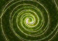 Abstract white spiral glowing light with glitter on green background