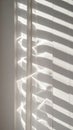 Abstract White Window Blind Sunlight and Shadow Play Creating Texture Pattern Royalty Free Stock Photo