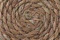 Abstract wicker seagrass basket natural texture background. Circle spiral pattern