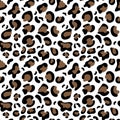 Abstract wild animal skin leopard seamless pattern design on white background. Jaguar, leopard, cheetah, panther fur, camouflage Royalty Free Stock Photo