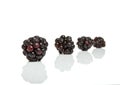 Abstract Wild blackberry Royalty Free Stock Photo