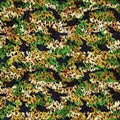 Abstract wild leopard skin fabric with geometric shapes and camouflage Royalty Free Stock Photo