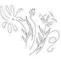 Abstract wildflower outline icon isolated on white background. Hand Drawn vector illustration. Line art