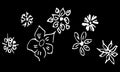 Abstract wildflowers outline set isolated on black background. Hand drawn vector illustration. Wildflowers collection. Doodle