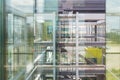 Abstract window reflections in morden office building. Royalty Free Stock Photo