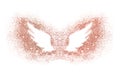 Abstract wings of rose gold glitter on white background - interesting and beautiful element for your design Royalty Free Stock Photo