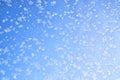 Abstract winter background. Frost on a frozen window against the blue sky. Royalty Free Stock Photo