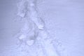 Abstract winter background.Man tracks in the snow. Royalty Free Stock Photo