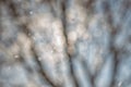 Abstract winter background, snowflakes and snowing time Royalty Free Stock Photo