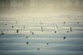 Abstract winter landscape with articles. Garden beds in snow and fog. Royalty Free Stock Photo