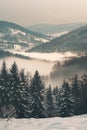 Abstract winter landscape with snow covered trees and fog in the valley Royalty Free Stock Photo