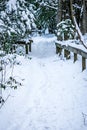 Abstract winter scene on a country farm