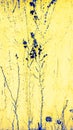 Abstract Winter Weeds Royalty Free Stock Photo