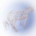 Abstract Wired Low Poly Horse. 3d Rendering