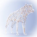 Abstract Wired Low Poly Wolf or Dog. 3d Rendering