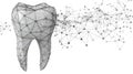 Abstract wireframe tooth structure with connecting network nodes on white background. Royalty Free Stock Photo
