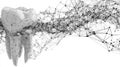 Abstract wireframe tooth structure with connecting network nodes on white background. Royalty Free Stock Photo