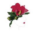 Abstract woman profile with red hibiscus flowers. Royalty Free Stock Photo