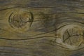 Abstract Wood bark Textures surface background closeup Royalty Free Stock Photo