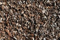 Abstract wood chip weathered mulch Royalty Free Stock Photo