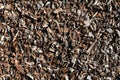 Abstract wood chip weathered mulch