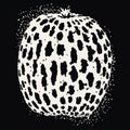 Abstract Woodcut-inspired Watermelon With Explosive Wildlife