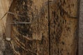 Abstract Wooden Piece, Background And Texture of Wood Royalty Free Stock Photo