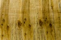 Abstract wooden texture background.