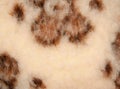 Abstract wool texture