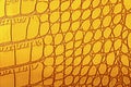 Abstract yellow alligator leather pattern for background. Skin of yellow reptile