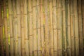 Abstract yellow dried bamboo boundary wall fence texture, bamboo Royalty Free Stock Photo