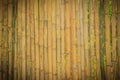 Abstract yellow dried bamboo boundary wall fence texture, bamboo Royalty Free Stock Photo