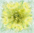 Abstract yellow-green flower in watercolor style. Floral blue-pink background. For design, texture, cover, postcard.