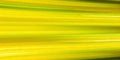Abstract Yellow Green Stripes Background Texture Design Wallpaper Royalty Free Stock Photo