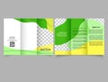 Abstract yellow green trifold brochure. Flyer with abstract design. Brochure template. vector file.