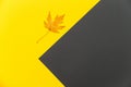 Abstract yellow and grey geometric background with one orange fallen maple leaf. Copy space. Royalty Free Stock Photo