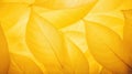 Abstract Yellow Leaf Background, Embracing Natures Beauty